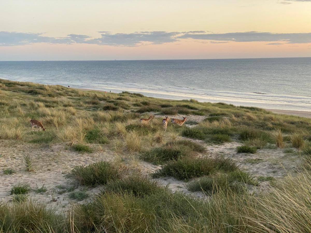 Zwarte Vis Apartment Zandvoort Ngoại thất bức ảnh